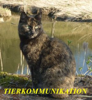 heidi.findeis@web.de