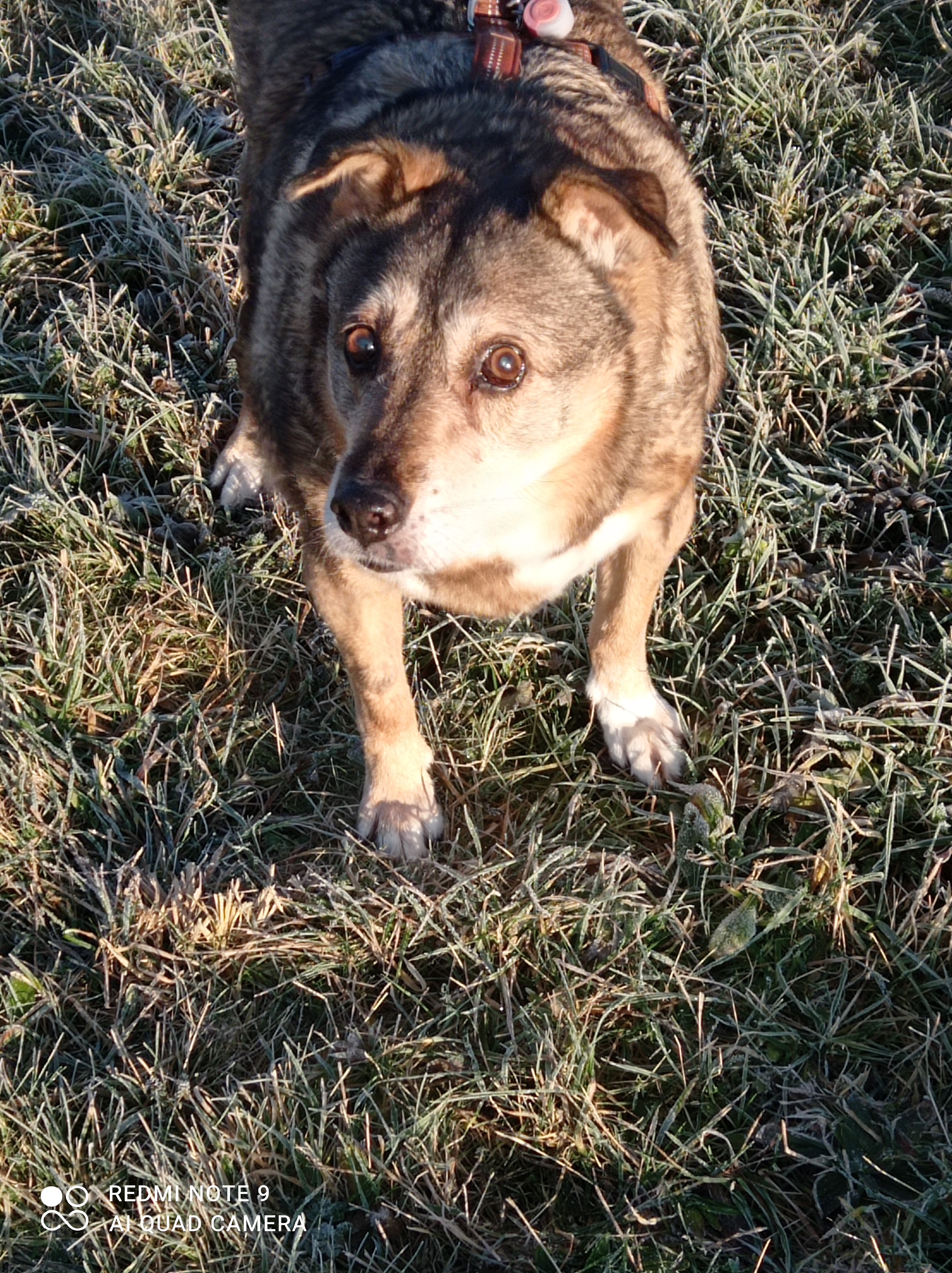 heidi.findeis@web.de